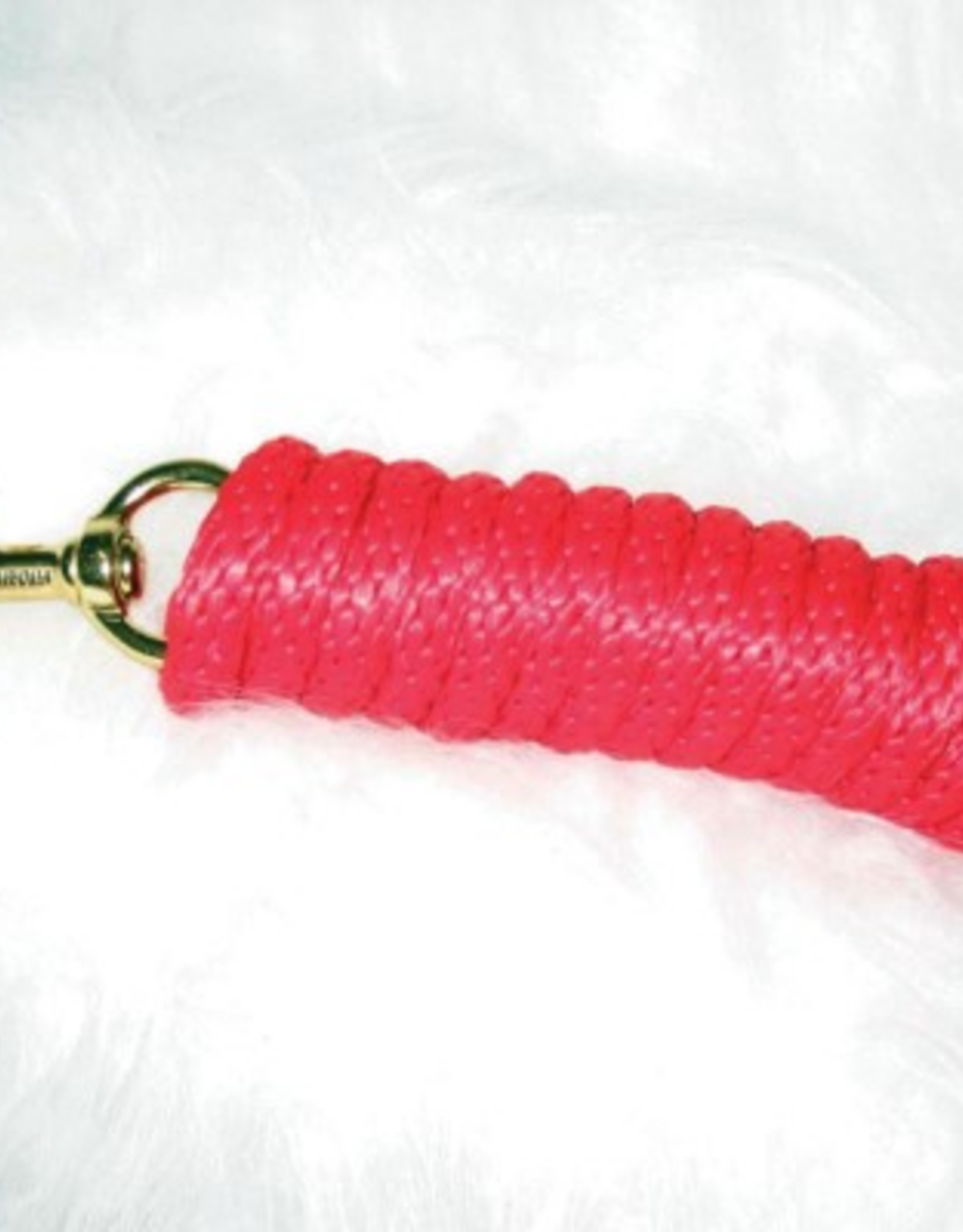 Hamilton Hamilton Poly Rope Lead with Bolt Snap - 10 FT, Red