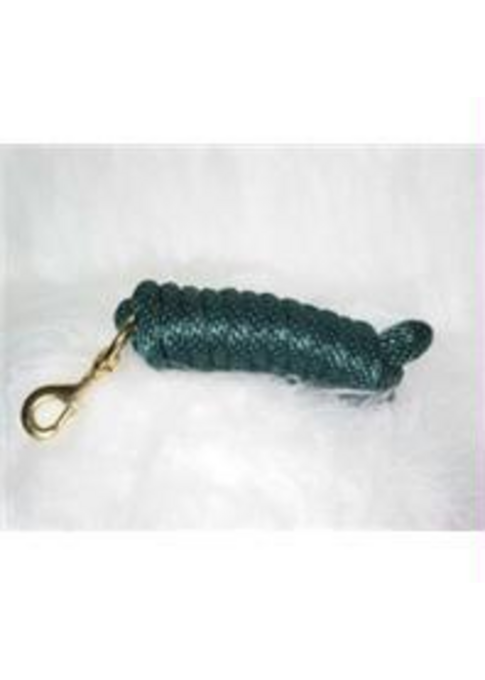 Hamilton Hamilton Poly Rope Lead with Bolt Snap - 10 FT, HUNTER GREEN