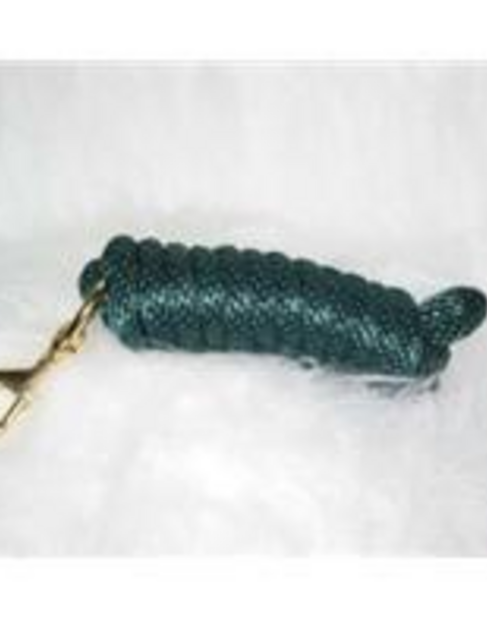 Hamilton Hamilton Poly Rope Lead with Bolt Snap - 10 FT, HUNTER GREEN