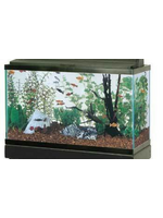 Aqueon Aqueon Standard Open-Glass Glass Aquarium Tank - 29 Gallon