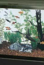 Aqueon Aqueon Standard Open-Glass Glass Aquarium Tank - 29 Gallon