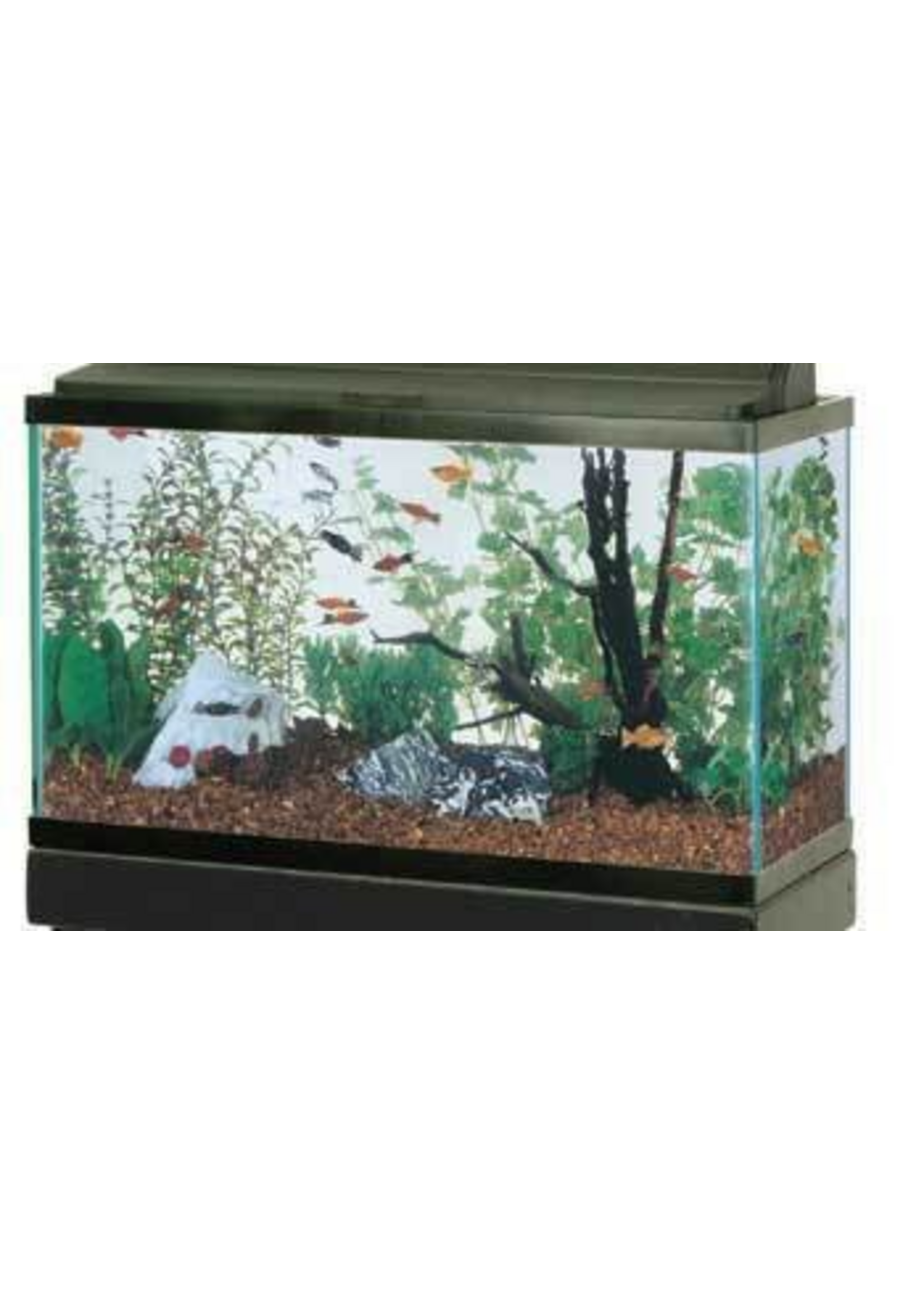 Aqueon Aqueon Standard Open-Glass Glass Aquarium Tank - 29 Gallon