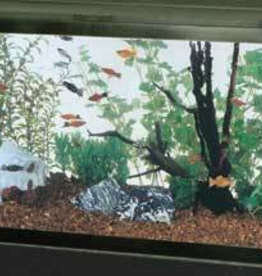 Aqueon Aqueon Standard Open-Glass Glass Aquarium Tank - 29 Gallon