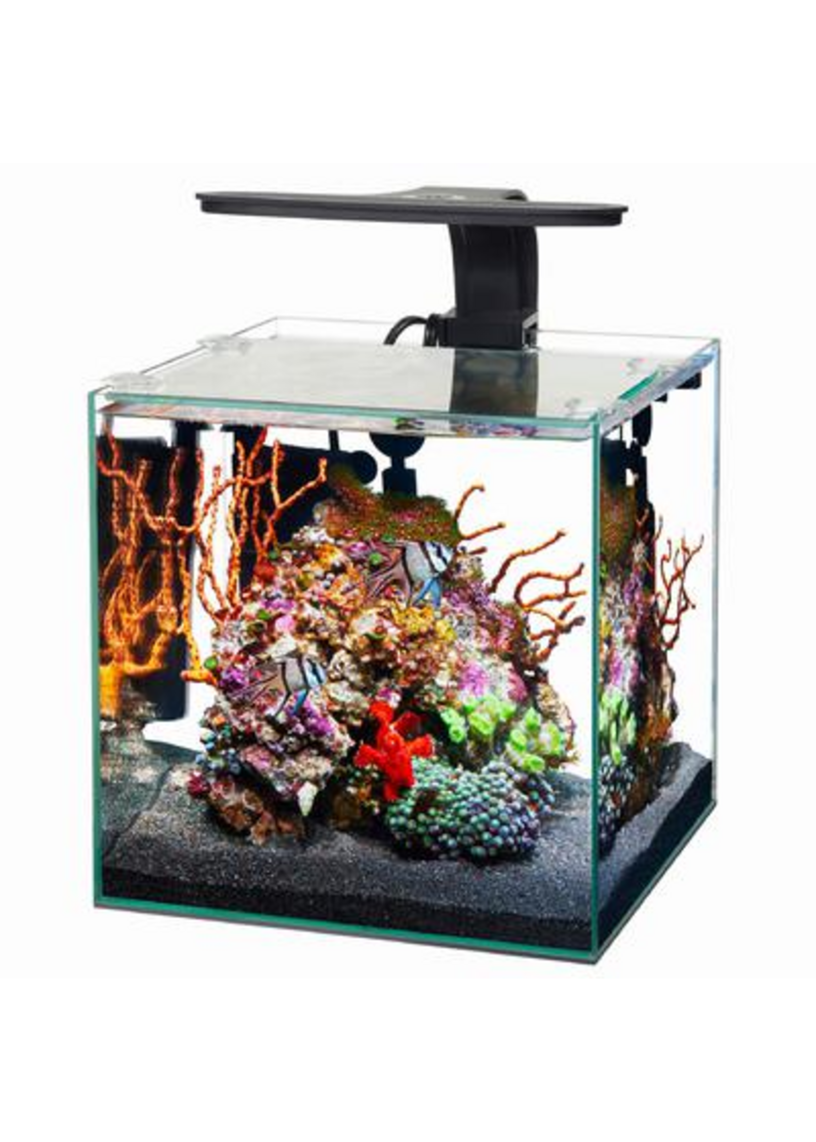 Aqueon Aqueon Frameless Cube Aquarium - 3 Gallon