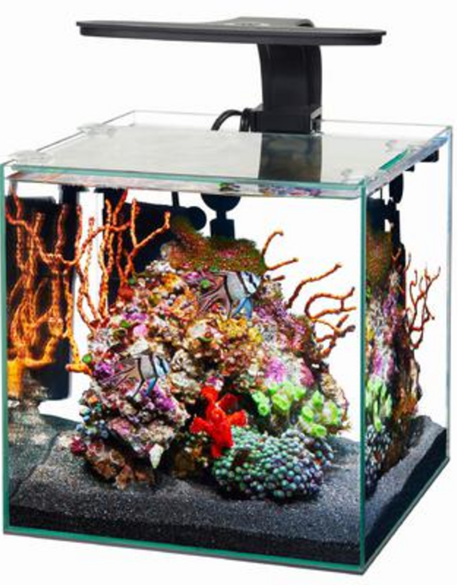 Aqueon Aqueon Frameless Cube Aquarium - 3 Gallon