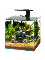 Aqueon Aqueon Frameless Cube Aquarium - 6 Gallon