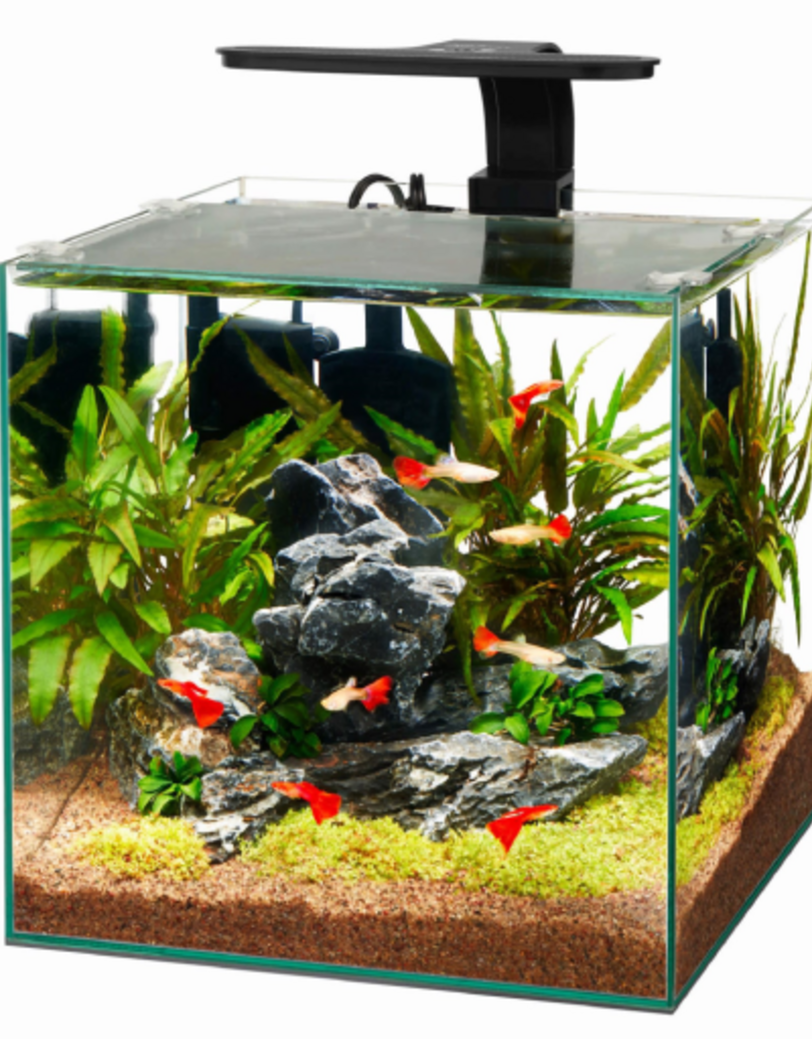 Aqueon Aqueon Frameless Cube Aquarium - 6 Gallon