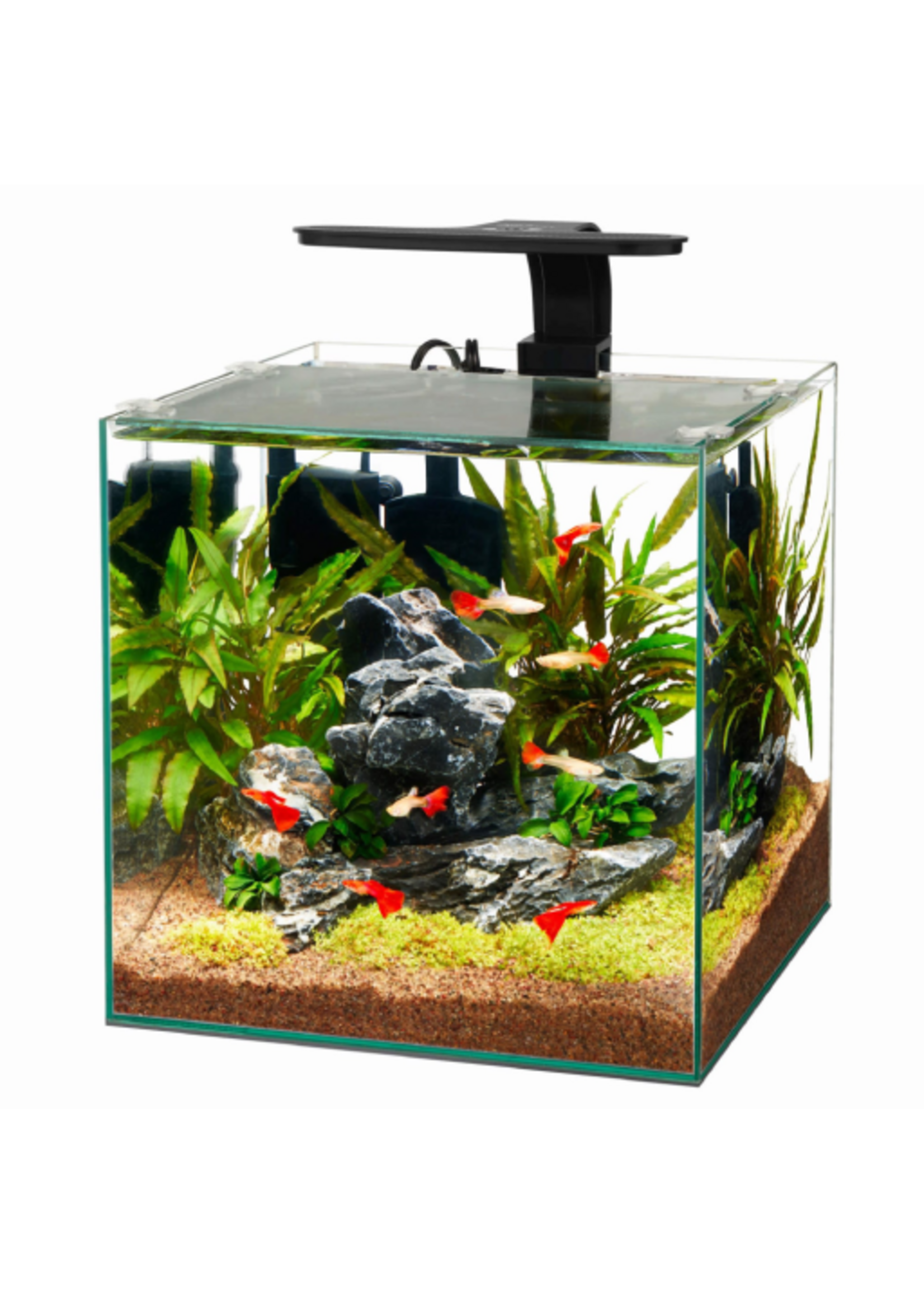Aqueon Aqueon Frameless Cube Aquarium - 6 Gallon