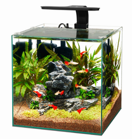 Aqueon Aqueon Frameless Cube Aquarium - 6 Gallon