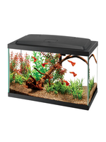 Aqueon Aqueon Aquarium Starter Kit with LED Lighting - 5.5 Gallon