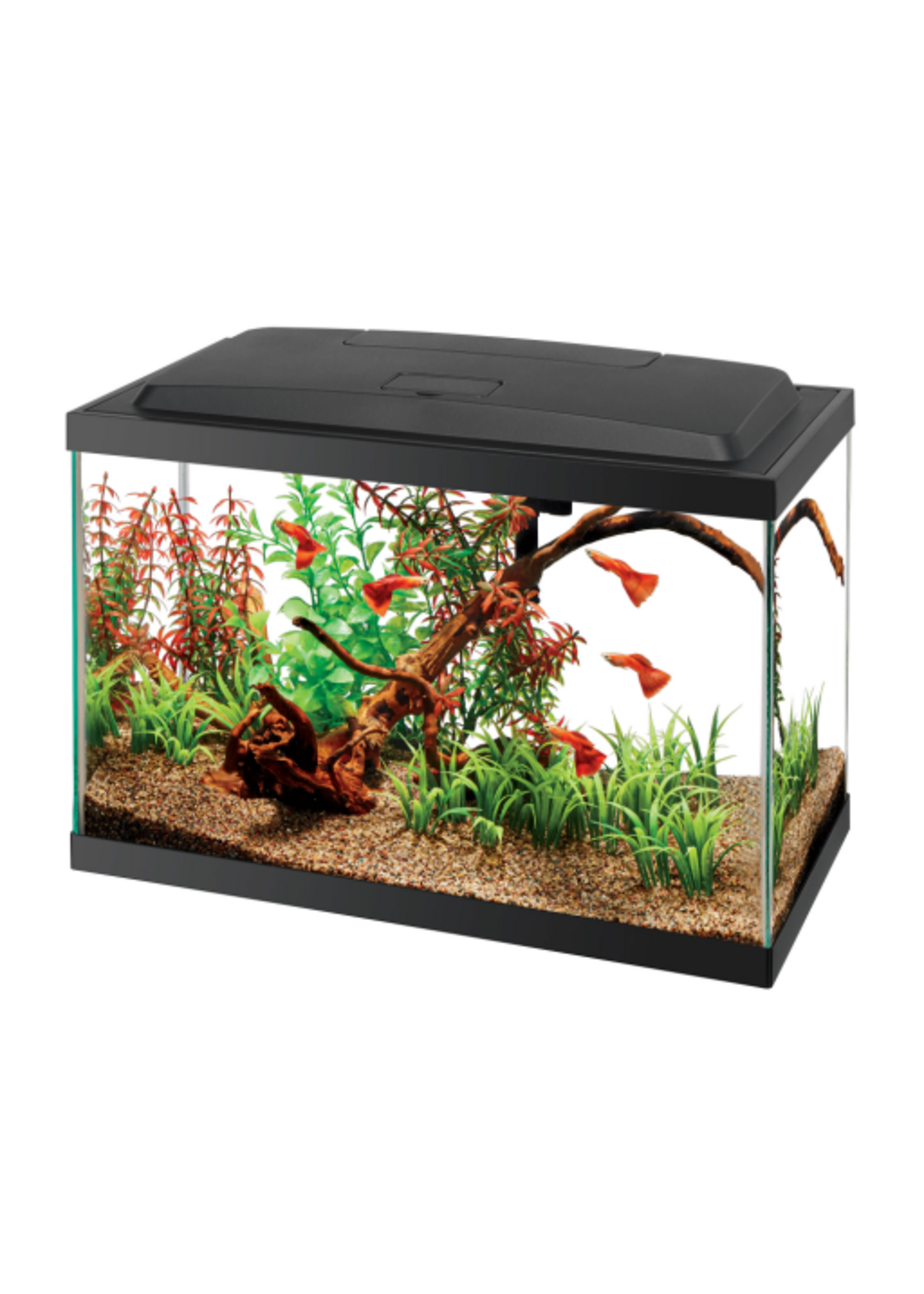 Aqueon Aqueon Aquarium Starter Kit with LED Lighting - 5.5 Gallon