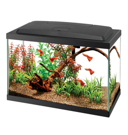 Aqueon Aqueon Aquarium Starter Kit with LED Lighting - 5.5 Gallon