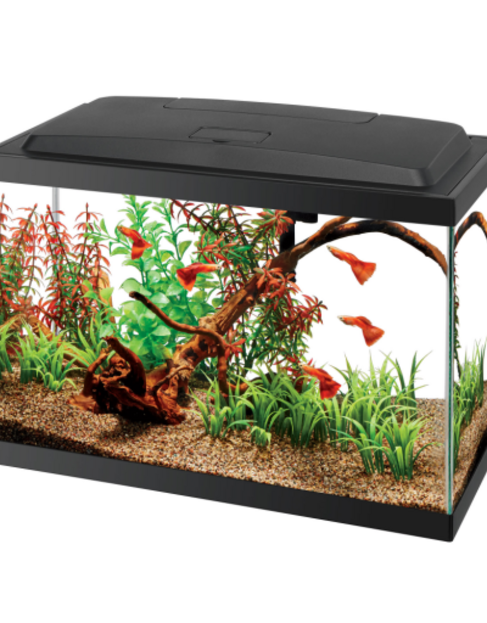 Aqueon Aqueon Aquarium Starter Kit with LED Lighting - 5.5 Gallon