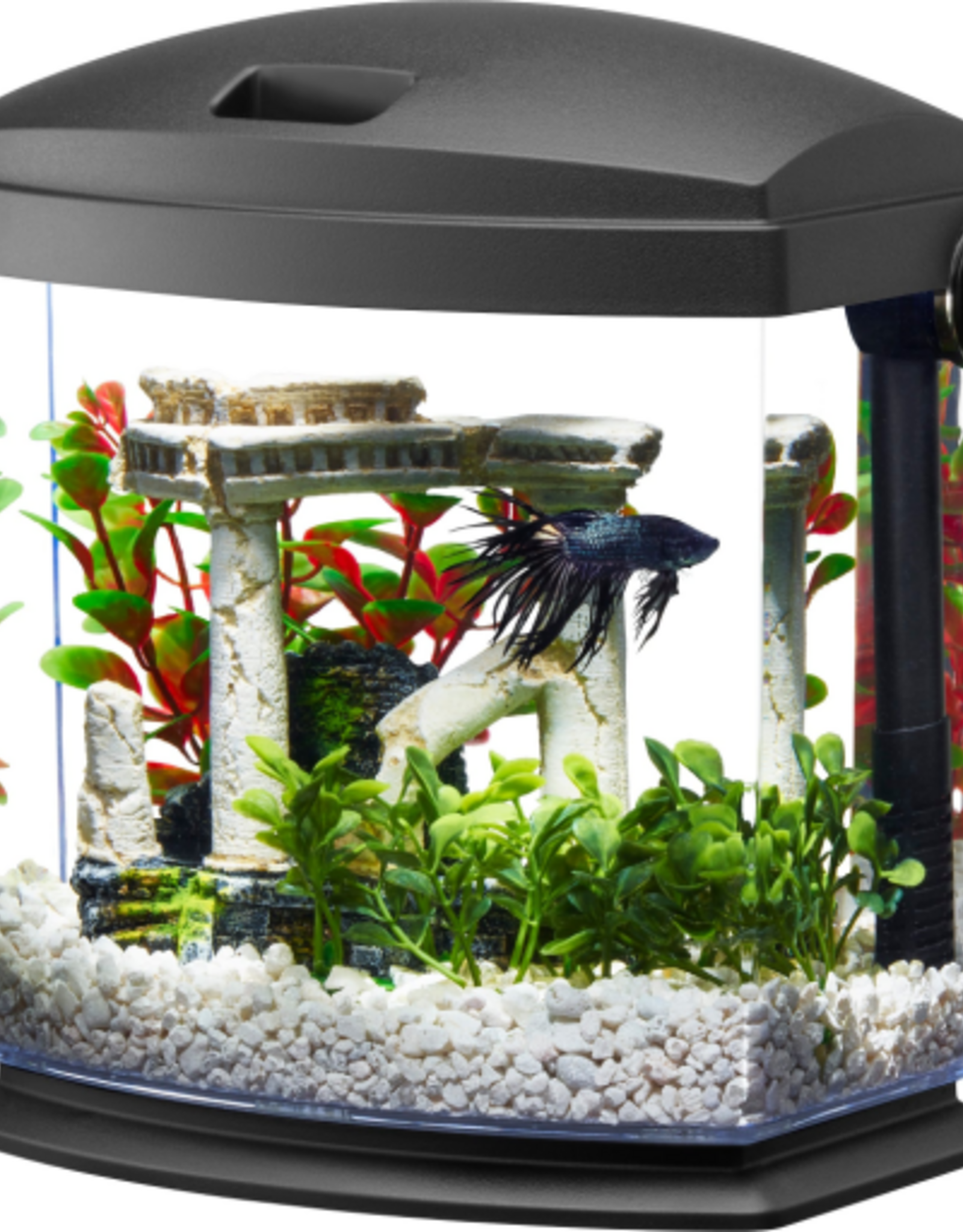 Aqueon Aqueon Betta Bow Quickclean - 1 Gallon