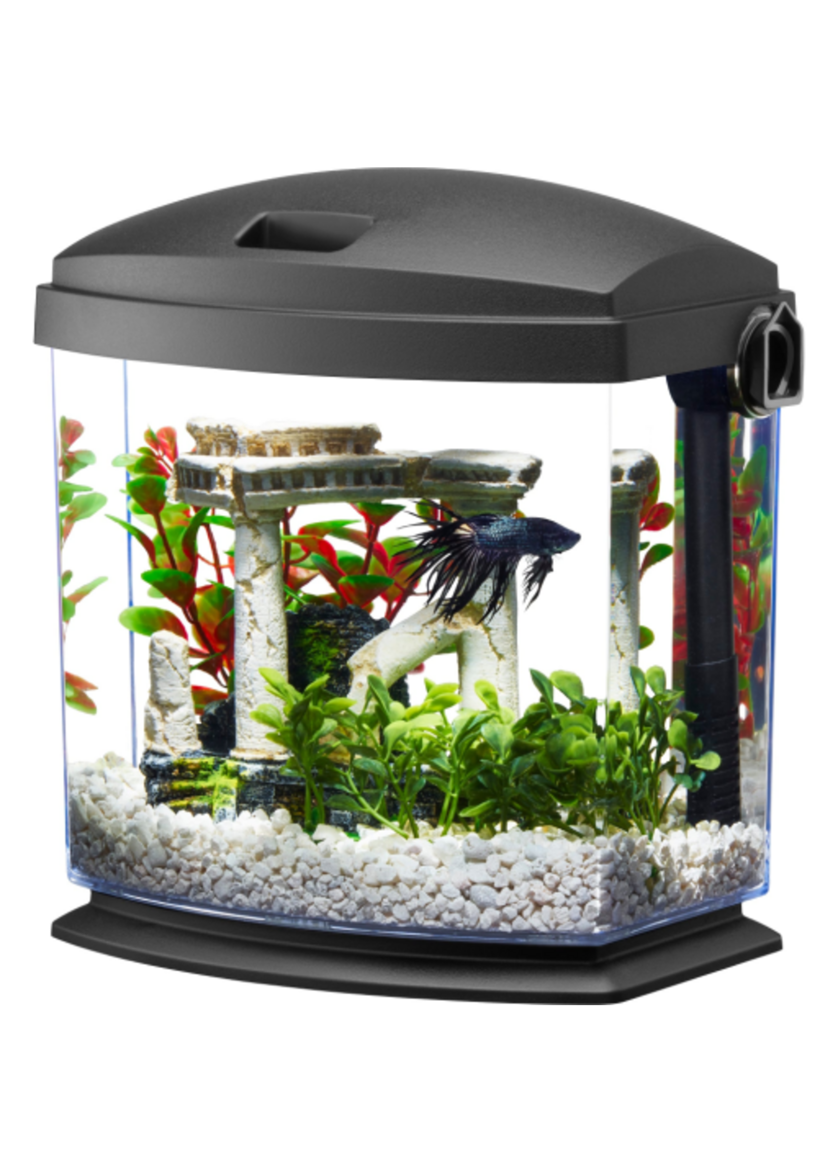 Aqueon Aqueon Betta Bow Quickclean - 1 Gallon