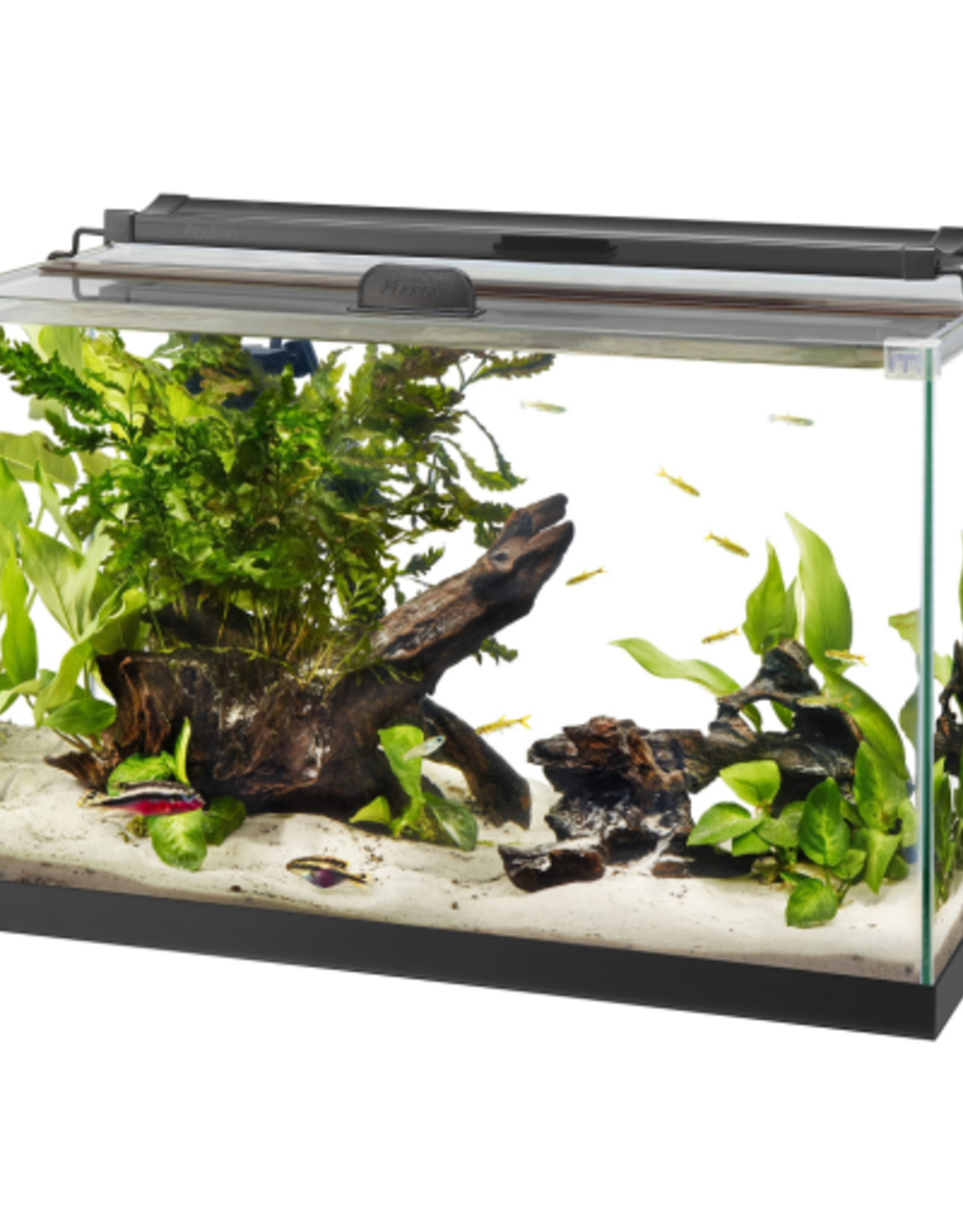 Aqueon Aqueon Rimless Black Tank Aquarium - 10 Gallon