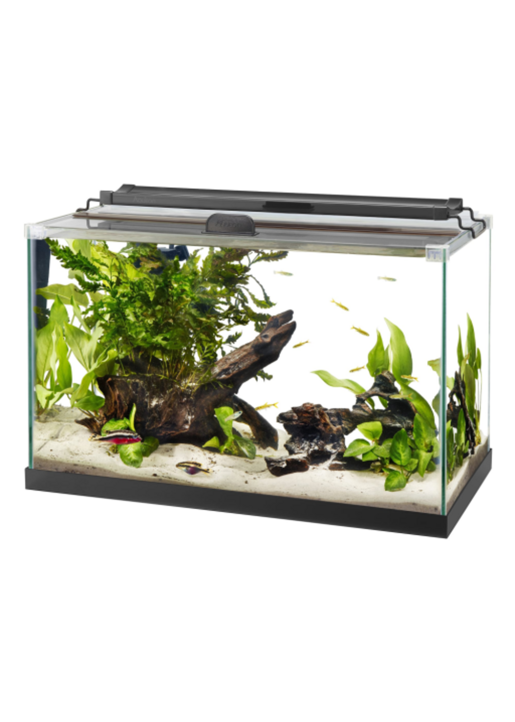 Aqueon Aqueon Rimless Black Tank Aquarium - 10 Gallon