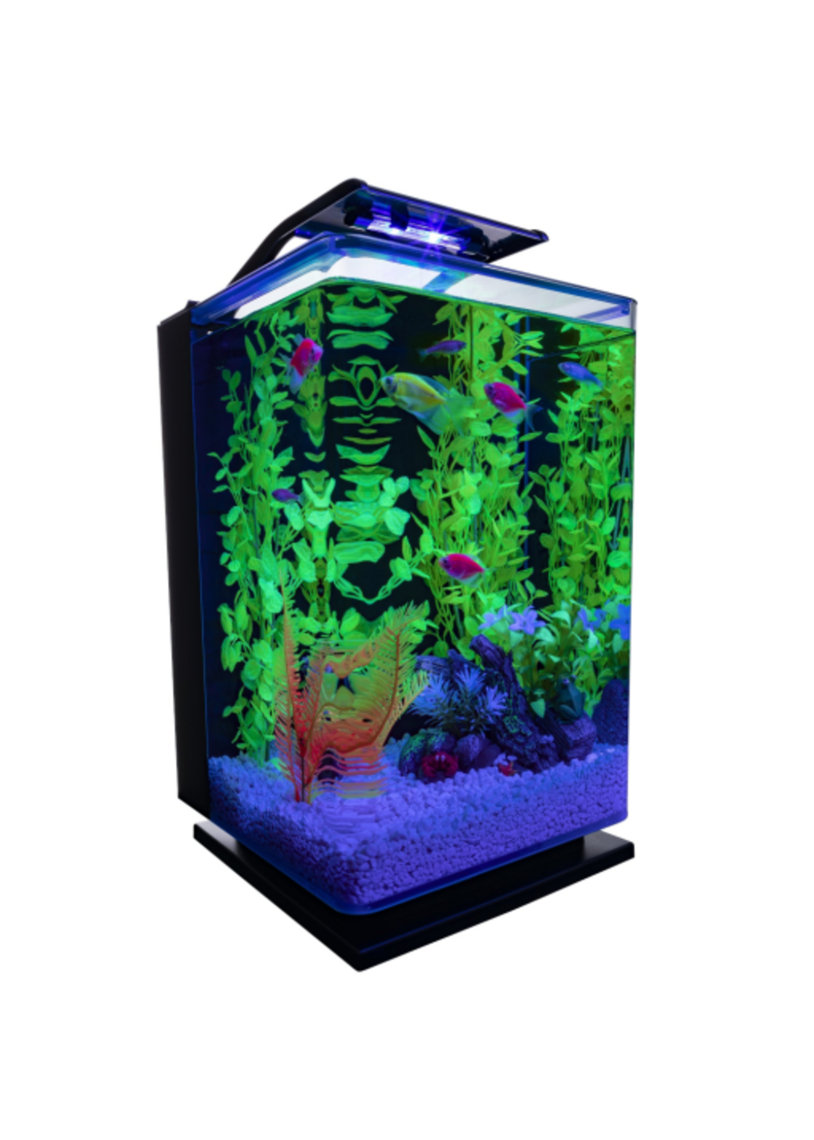 GloFish GloFish Aquarium - 5 gallon