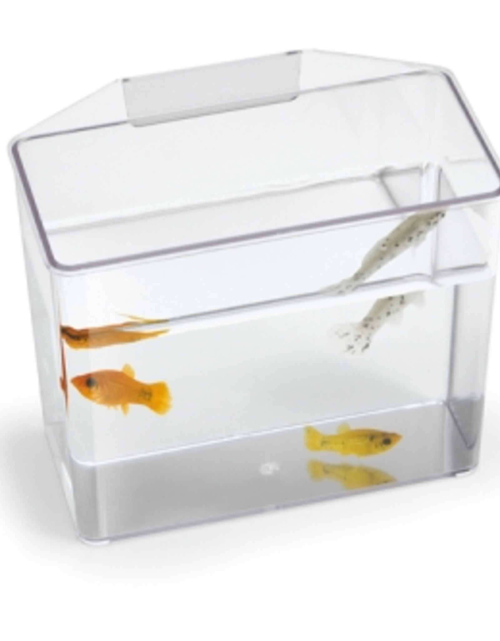 Lee's Aquarium & Pets Lee's Break Resistant Specimen Container Small Multi Purpose Treatment Holder Tank