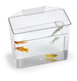 Lee's Aquarium & Pets Lee's Break Resistant Specimen Container Small Multi Purpose Treatment Holder Tank