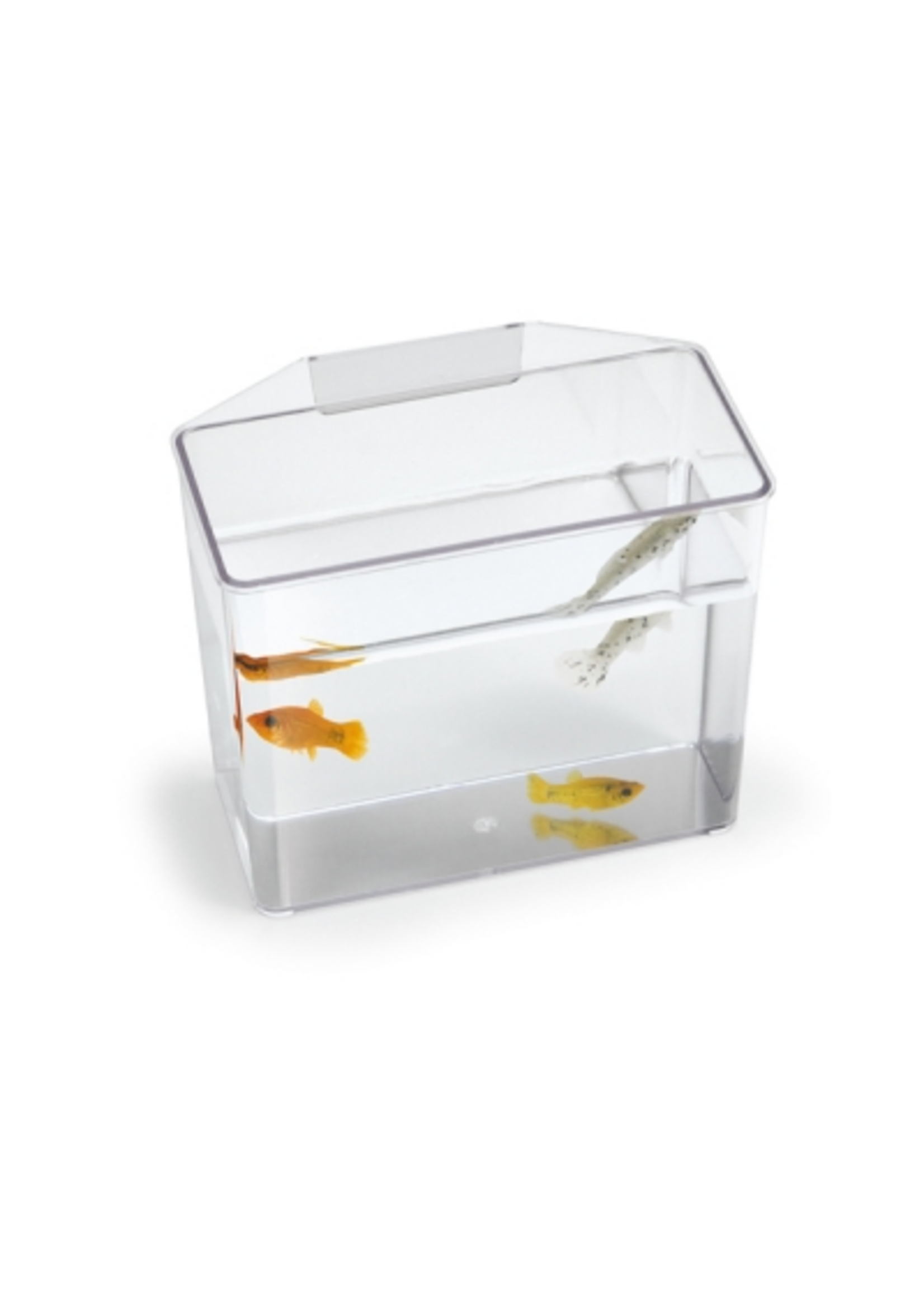 Lee's Aquarium & Pets Lee's Break Resistant Specimen Container Small Multi Purpose Treatment Holder Tank