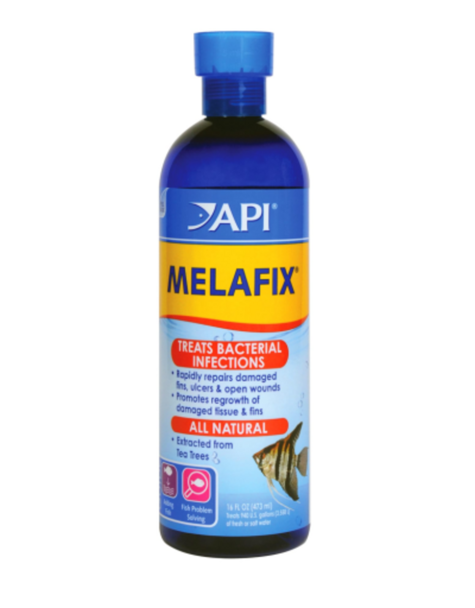 API API Melafix  Freshwater Fish Bacterial Infection Remedy  16 oz