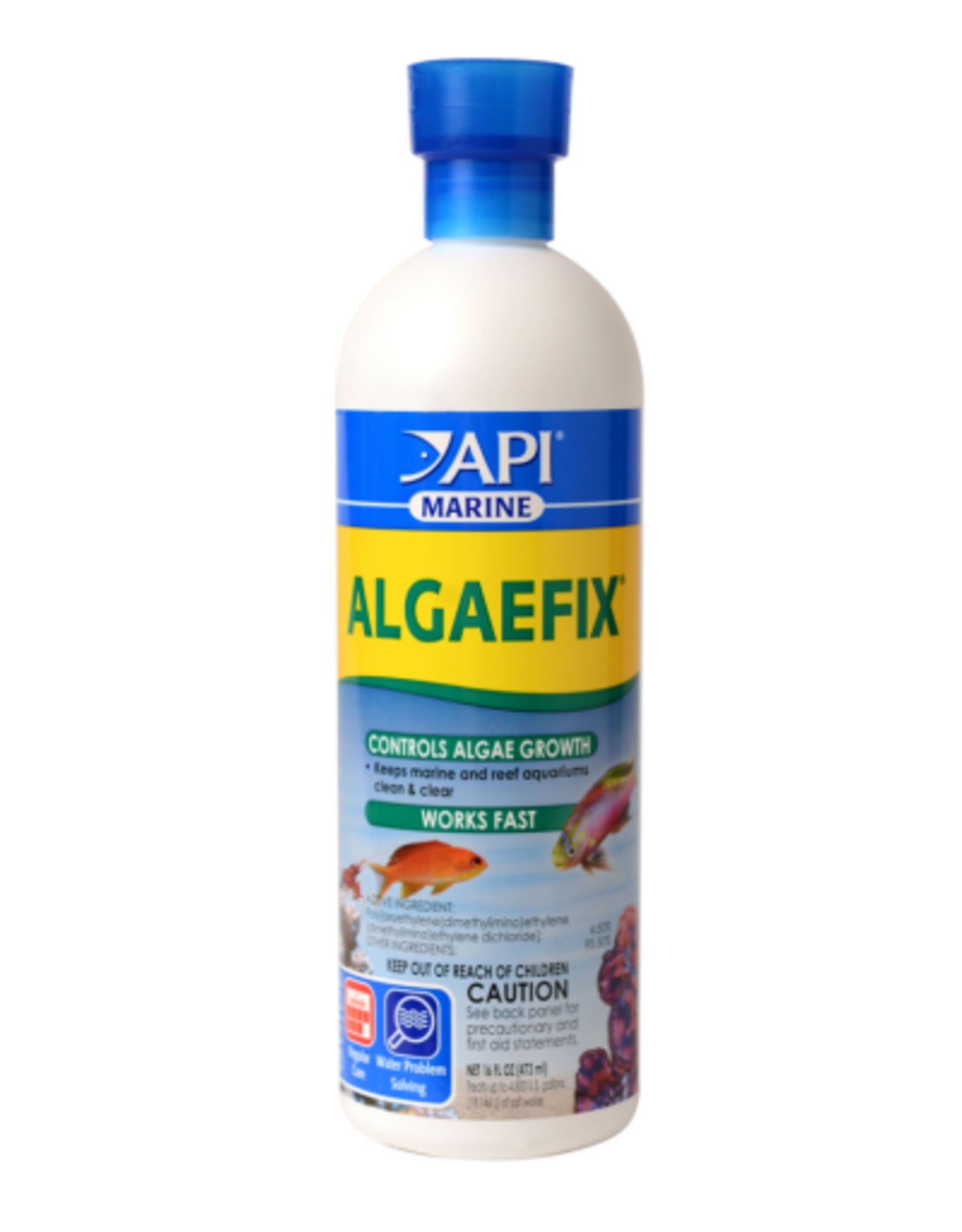 API API AlgaeFix Marine Aquarium Algaecide 16 oz