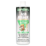 Kordon Kordon Ich Attack Natural Herbal Ich Treatment for Fresh and Saltwater Fish  16 fl. Oz.