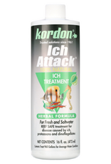 Kordon Kordon Ich Attack Natural Herbal Ich Treatment for Fresh and Saltwater Fish  16 fl. Oz.