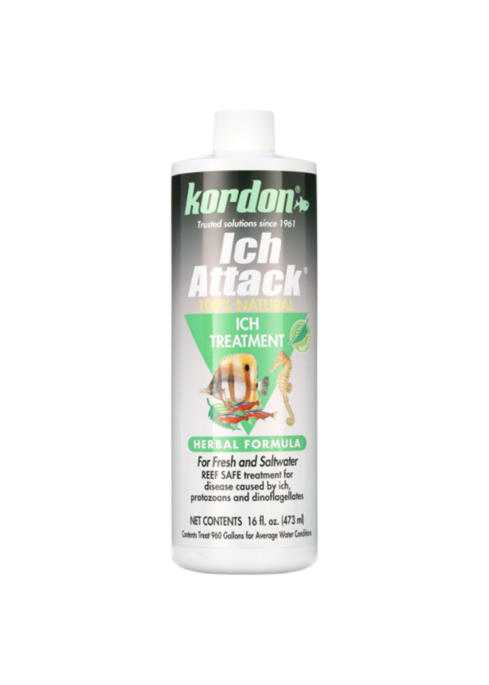 Kordon Kordon Ich Attack Natural Herbal Ich Treatment for Fresh and Saltwater Fish  16 fl. Oz.