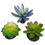 Komodo Komodo Artificial Green and Blue Plastic Succulent Plants with Gravel Base - 3 Pack  Aquarium Decor