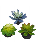 Komodo Komodo Artificial Green and Blue Plastic Succulent Plants with Gravel Base - 3 Pack  Aquarium Decor