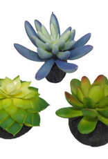 Komodo Komodo Artificial Green and Blue Plastic Succulent Plants with Gravel Base - 3 Pack  Aquarium Decor