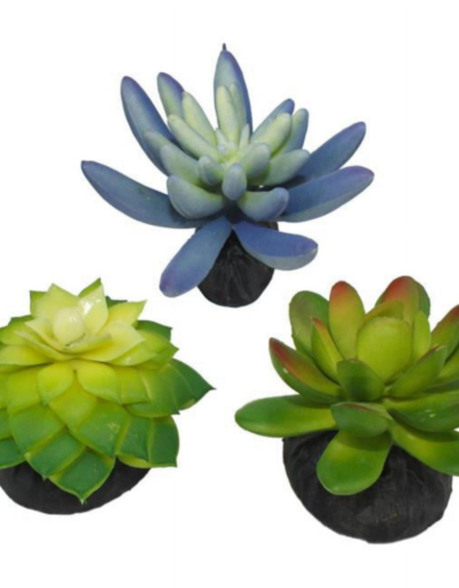Komodo Komodo Artificial Green and Blue Plastic Succulent Plants with Gravel Base - 3 Pack  Aquarium Decor