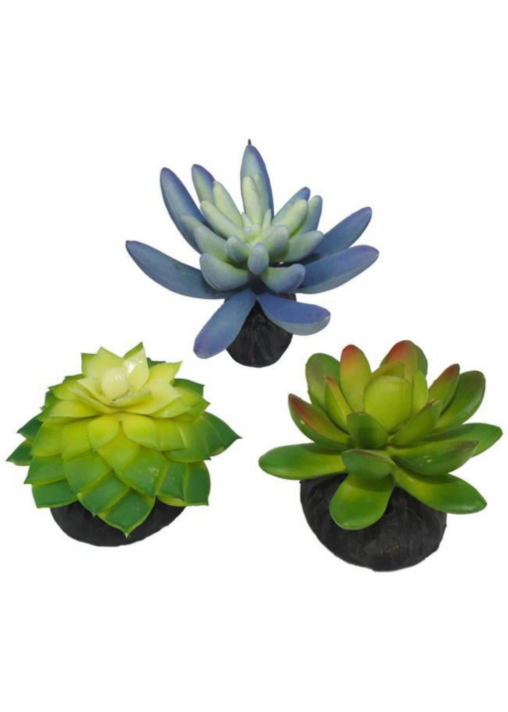 Komodo Komodo Artificial Green and Blue Plastic Succulent Plants with Gravel Base - 3 Pack  Aquarium Decor
