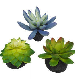 Komodo Komodo Artificial Green and Blue Plastic Succulent Plants with Gravel Base - 3 Pack  Aquarium Decor