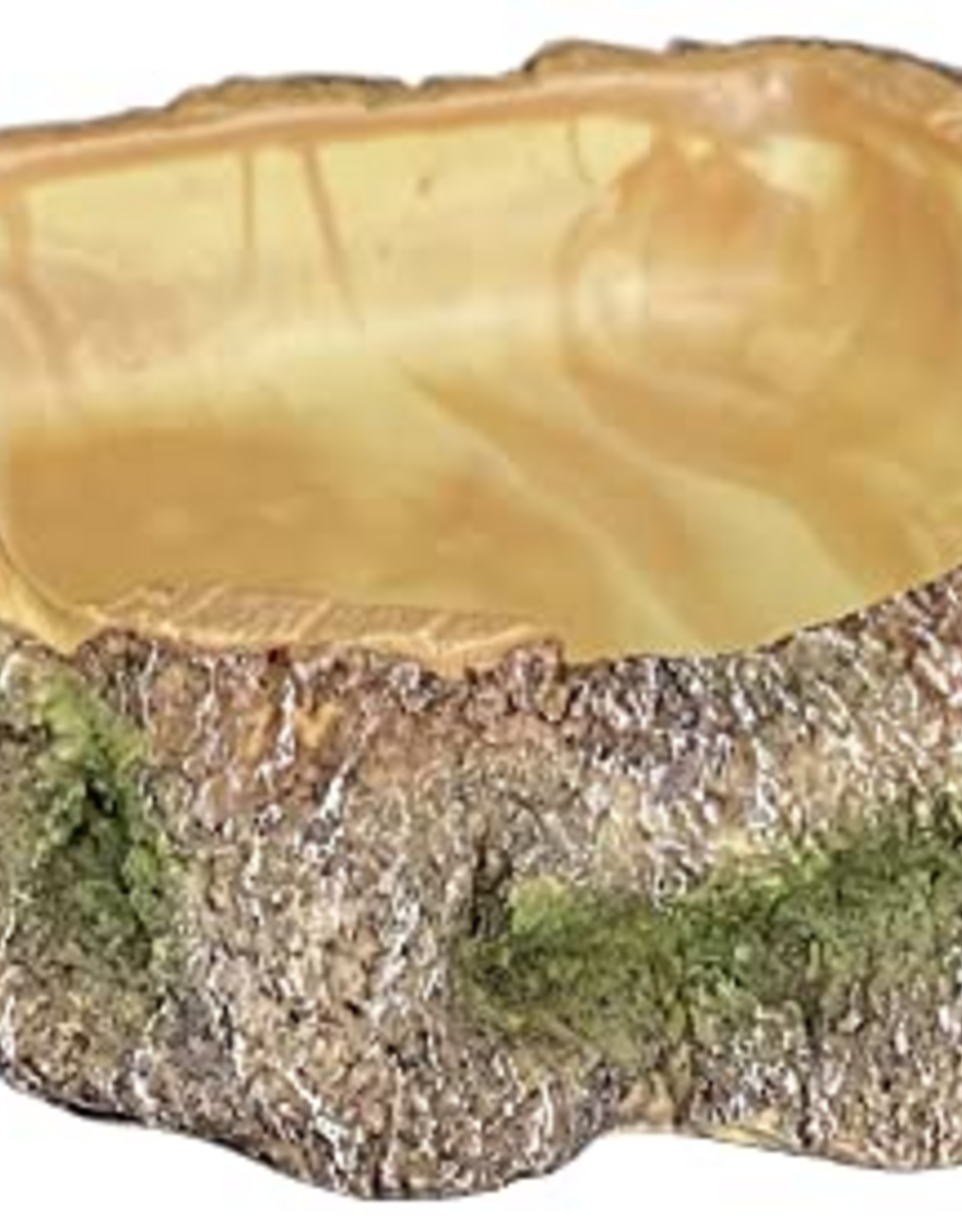 Komodo Komodo Polyresin Wood Corner Bowl Large Food & Water Dish