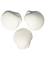 WECO Weco Wonder Shell - 3 Pack
