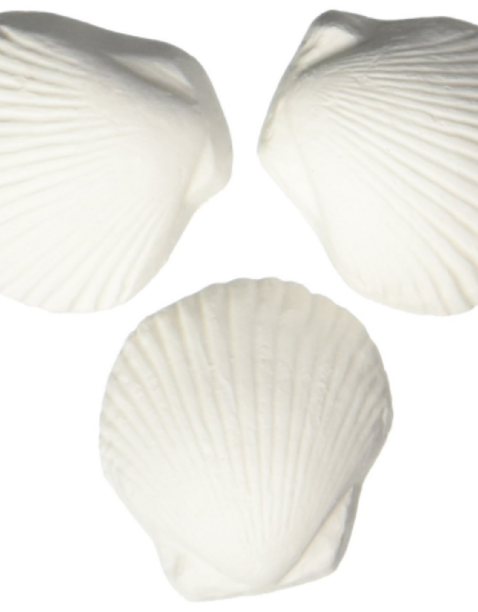 WECO Weco Wonder Shell - 3 Pack