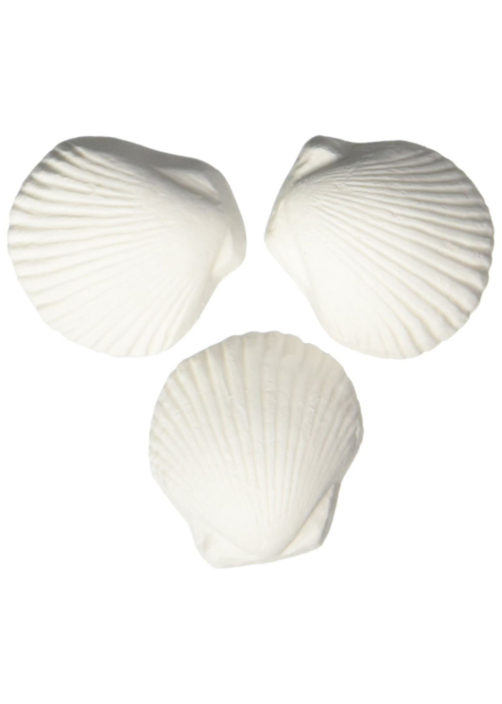 WECO Weco Wonder Shell - 3 Pack