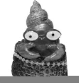 Blue Ribbon Exotic Environments Spiral Shell Crab - 1.75 x 1.5 x 2 in.