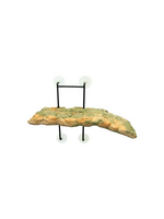 Zoo Med Zoo Med Laboratories Turtle Dock - 5 X 11.25 Inch