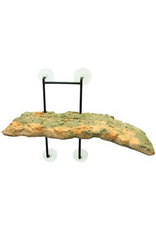 Zoo Med Zoo Med Laboratories Turtle Dock® Small Turtle Pond Dock® 5 X 11.25 Inch