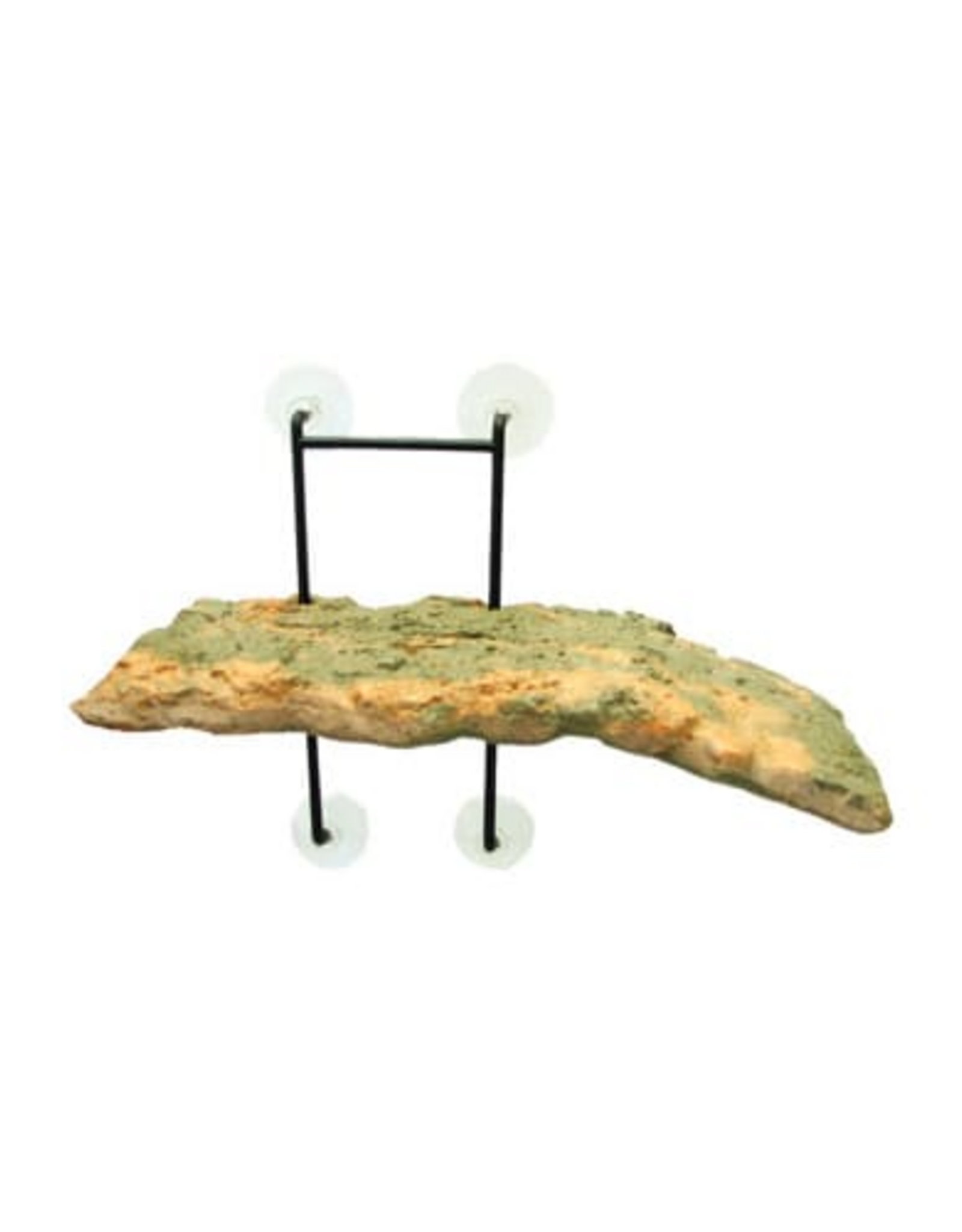 Zoo Med Zoo Med Laboratories Turtle Dock - 5 X 11.25 Inch