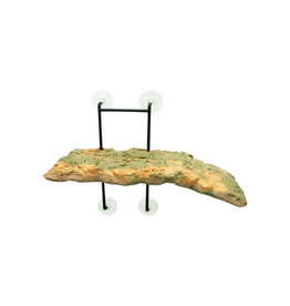 Zoo Med Zoo Med Laboratories Turtle Dock - 5 X 11.25 Inch