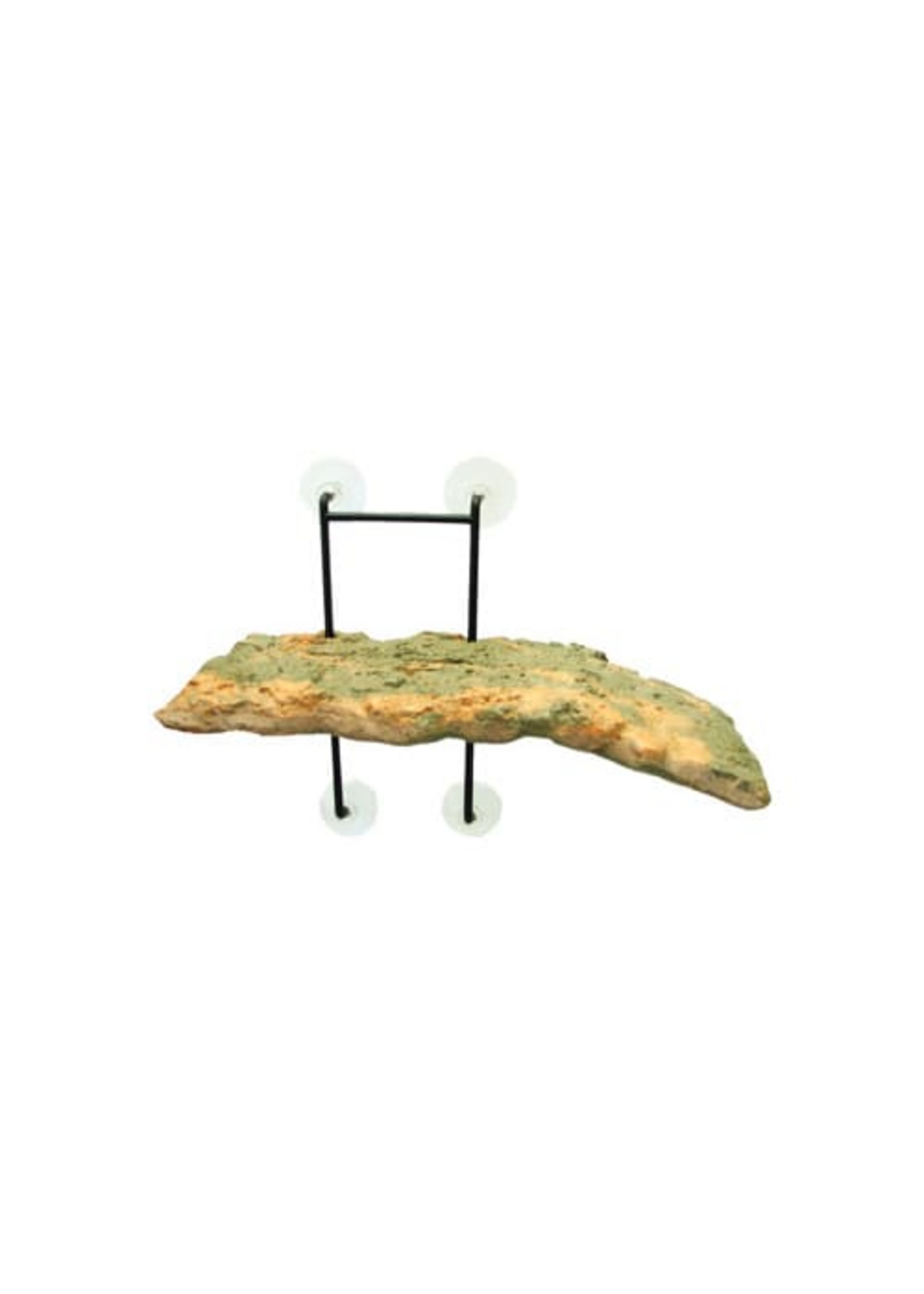 Zoo Med Zoo Med Laboratories Turtle Dock - 5 X 11.25 Inch