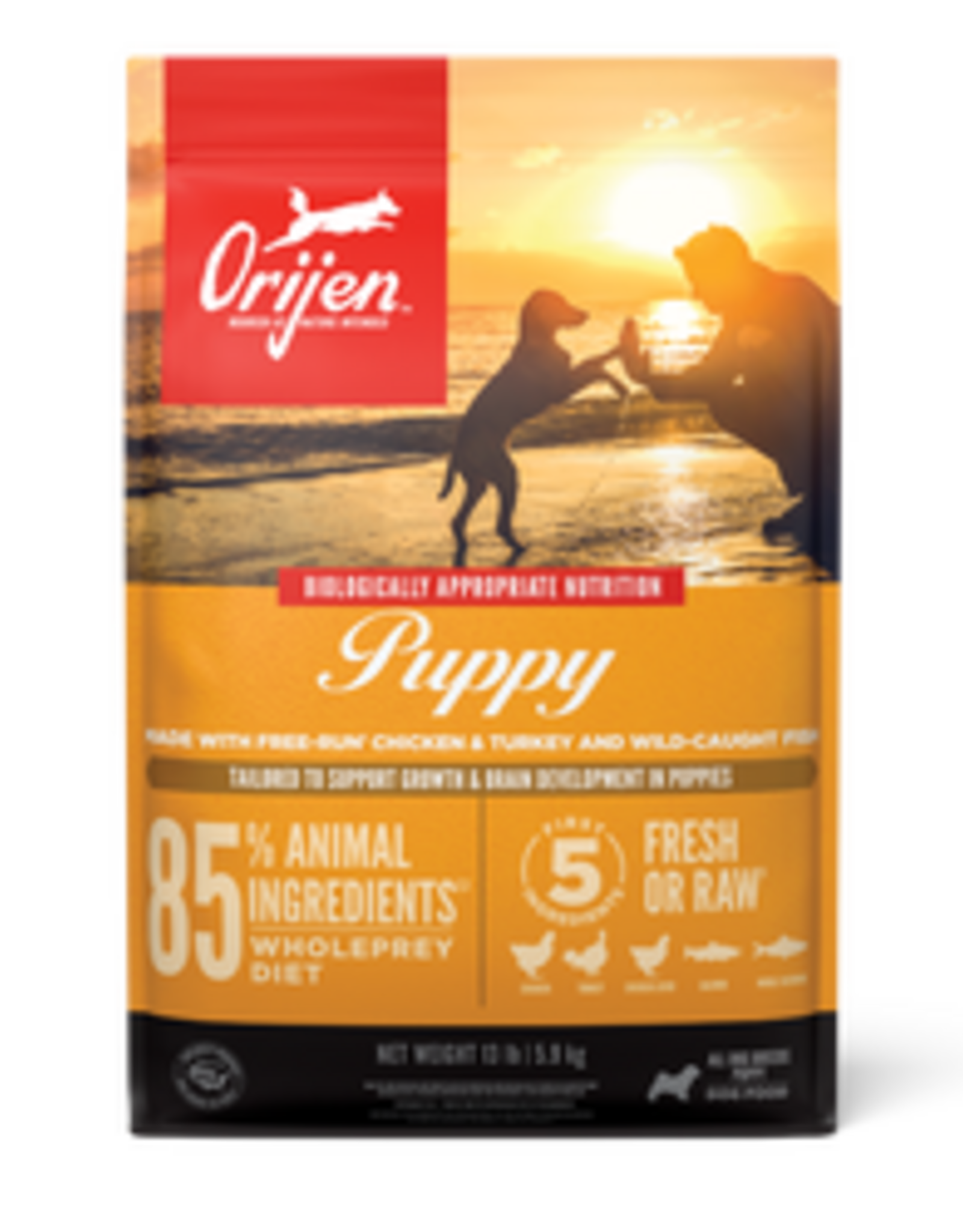 ORIJEN ORIJEN Puppy Dry Dog Food - 23.5 Lb