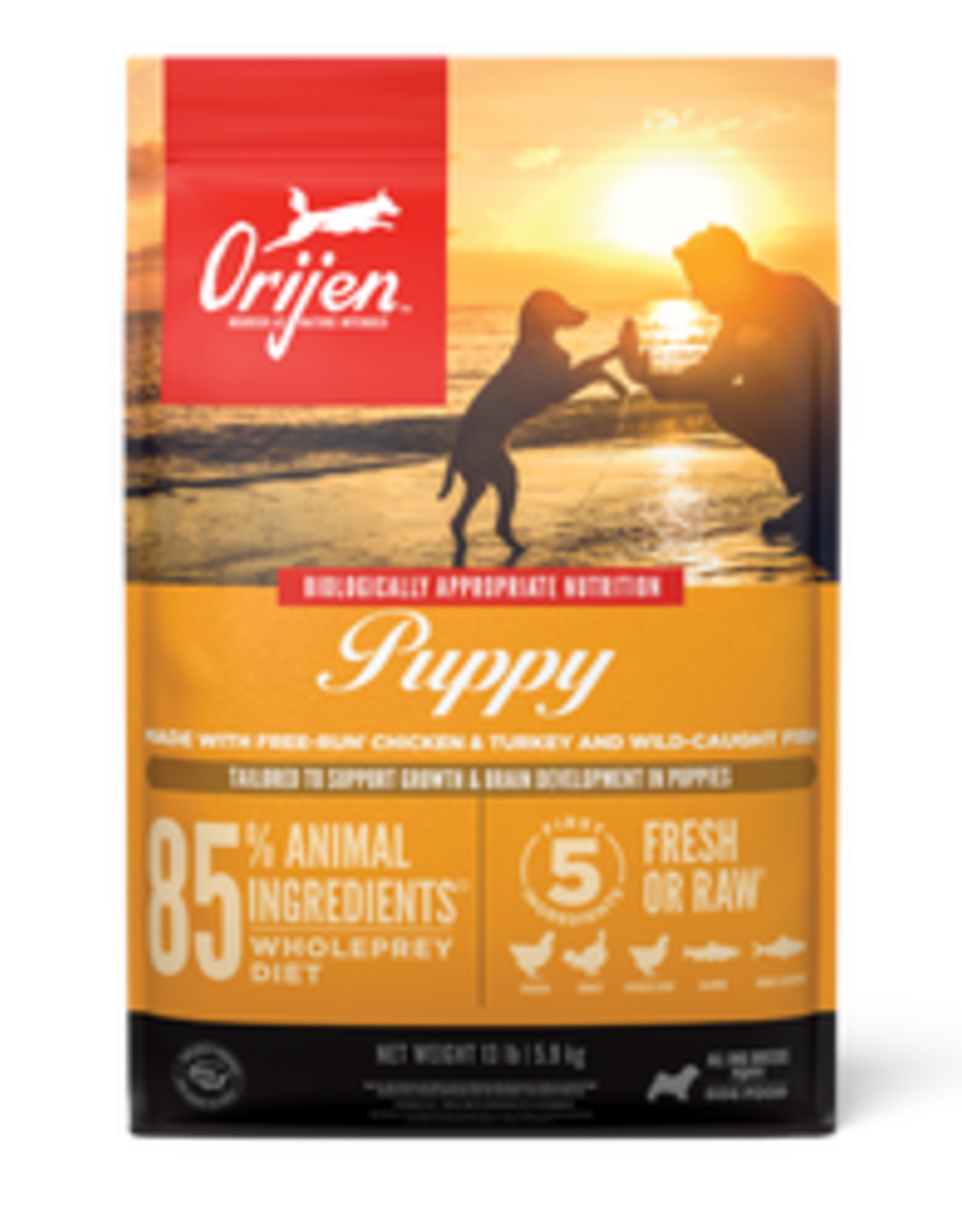 ORIJEN ORIJEN Puppy Dry Dog Food - 4.5 Lb