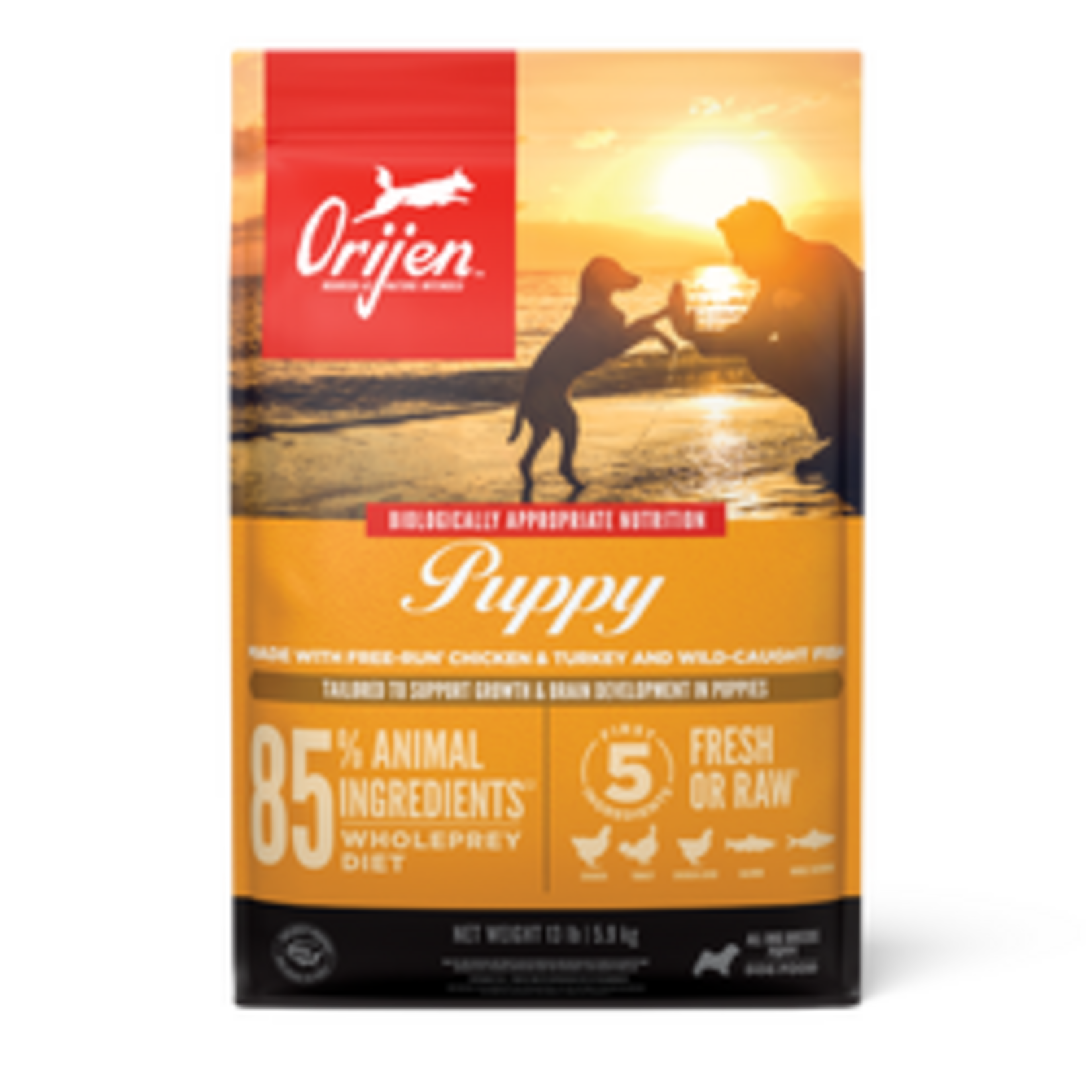 Orijen Orijen Puppy Dry Dog Food - 4.5 Lb