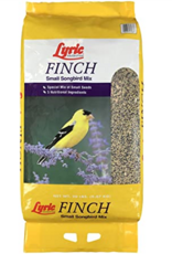 Lyric LYRIC FINCH SMALL SONGBIRD WILD BIRD MIX